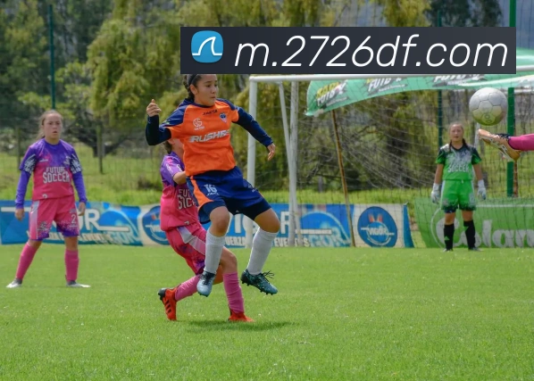 巅峰国际平台生态图