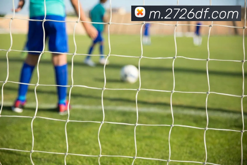 巅峰国际APP 封面图